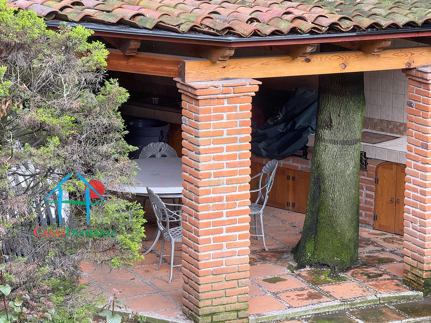 Jardines del Pedregal Casa Alan ACJ - Jardín 9